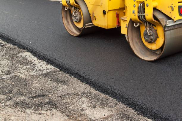 Best Custom Driveway Pavers  in Neptune Beach, FL